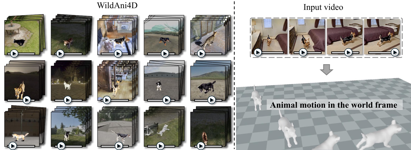 WildAni4D teaser: synthetic video generation and recovered world-frame 4D animal mesh motion